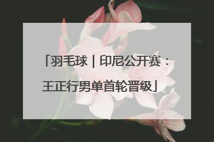 羽毛球｜印尼公开赛：王正行男单首轮晋级