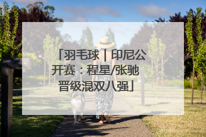 羽毛球｜印尼公开赛：程星/张驰晋级混双八强