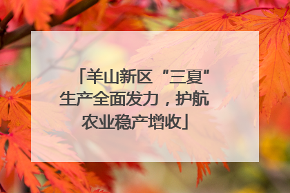 羊山新区“三夏”生产全面发力，护航农业稳产增收