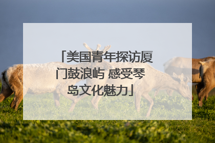 美国青年探访厦门鼓浪屿 感受琴岛文化魅力