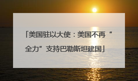 美国驻以大使：美国不再“全力”支持巴勒斯坦建国