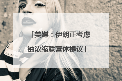 美媒：伊朗正考虑铀浓缩联营体提议