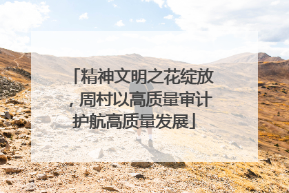 精神文明之花绽放，周村以高质量审计护航高质量发展