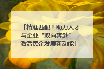 精准匹配！助力人才与企业“双向奔赴” 激活民企发展新动能