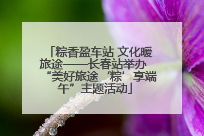 粽香盈车站 文化暖旅途——长春站举办 “美好旅途‘粽’享端午”主题活动