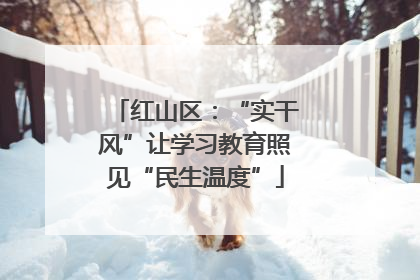 红山区：“实干风”让学习教育照见“民生温度”