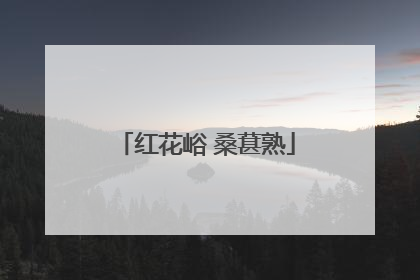 红花峪 桑葚熟