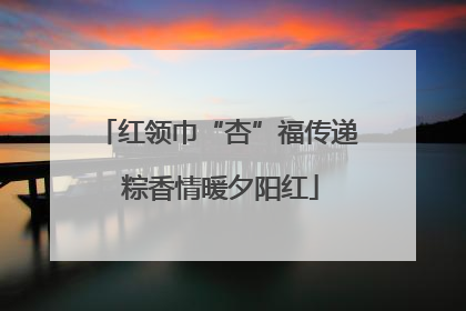 红领巾“杏”福传递 粽香情暖夕阳红