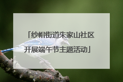 纱帽街道朱家山社区开展端午节主题活动