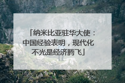 纳米比亚驻华大使：中国经验表明，现代化不光是经济腾飞