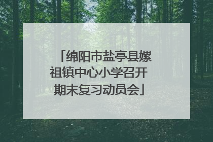 绵阳市盐亭县嫘祖镇中心小学召开期末复习动员会