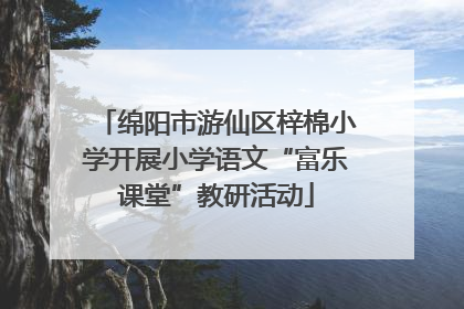 绵阳市游仙区梓棉小学开展小学语文“富乐课堂”教研活动