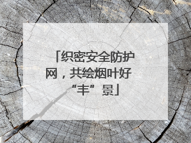 织密安全防护网，共绘烟叶好“丰”景