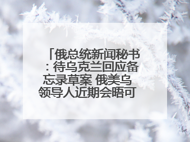 俄总统新闻秘书：待乌克兰回应备忘录草案 俄美乌领导人近期会晤可能性小