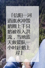 信阳一河道涨水冲毁鹅圈上千只鹅被卷入洪流，当地蓝天救援队一小时赶鹅上岸