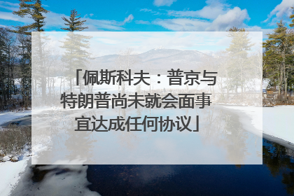 佩斯科夫：普京与特朗普尚未就会面事宜达成任何协议