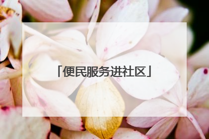 便民服务进社区