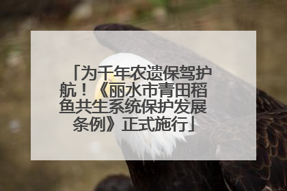 为千年农遗保驾护航！《丽水市青田稻鱼共生系统保护发展条例》正式施行