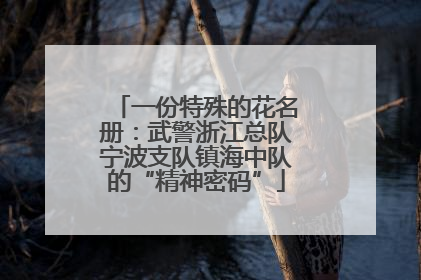 一份特殊的花名册：武警浙江总队宁波支队镇海中队的“精神密码”