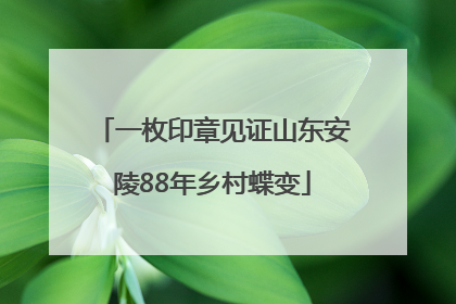 一枚印章见证山东安陵88年乡村蝶变
