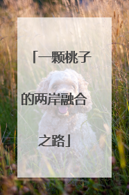 一颗桃子的两岸融合之路