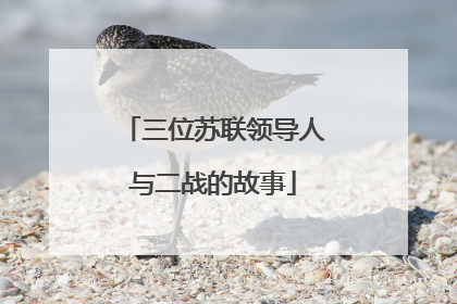 三位苏联领导人与二战的故事