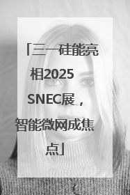 三一硅能亮相2025 SNEC展，智能微网成焦点