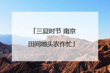 三夏时节 南京田间地头农作忙
