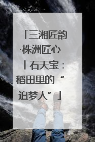 三湘匠韵·株洲匠心丨石天宝：稻田里的“追梦人”