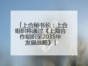 上合秘书长：上合组织将通过《上海合作组织至2035年发展战略》