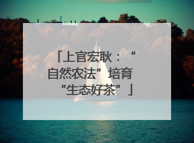 上官宏耿：“自然农法”培育“生态好茶”