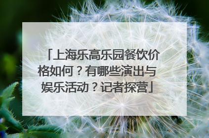 上海乐高乐园餐饮价格如何？有哪些演出与娱乐活动？记者探营