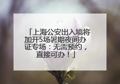 上海公安出入境将加开5场暑期夜间办证专场：无需预约，直接可办！