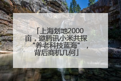 上海划地2000亩，邀腾讯小米共探“养老科技蓝海”，背后商机几何