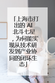 上海市打出的 AI 北斗七星，为何能实现从技术研发到产业协同的闭环生态