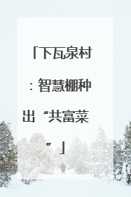下瓦泉村：智慧棚种出“共富菜”