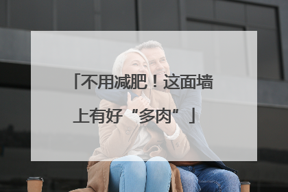 不用减肥！这面墙上有好“多肉”