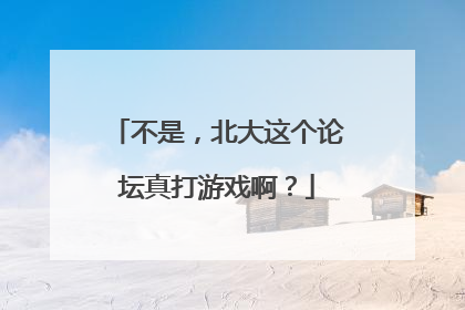 不是，北大这个论坛真打游戏啊？