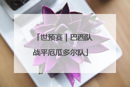 世预赛｜巴西队战平厄瓜多尔队