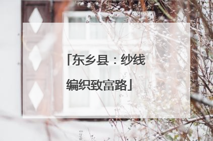 东乡县：纱线编织致富路