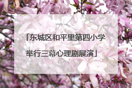 东城区和平里第四小学举行三幕心理剧展演