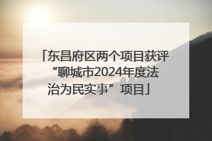 东昌府区两个项目获评“聊城市2024年度法治为民实事”项目
