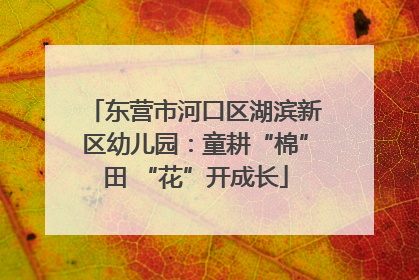 东营市河口区湖滨新区幼儿园：童耕“棉”田 “花”开成长
