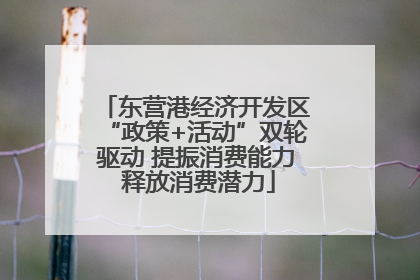 东营港经济开发区“政策+活动”双轮驱动 提振消费能力 释放消费潜力