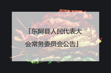 东阿县人民代表大会常务委员会公告