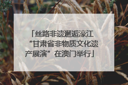 丝路非遗邂逅濠江 “甘肃省非物质文化遗产展演”在澳门举行