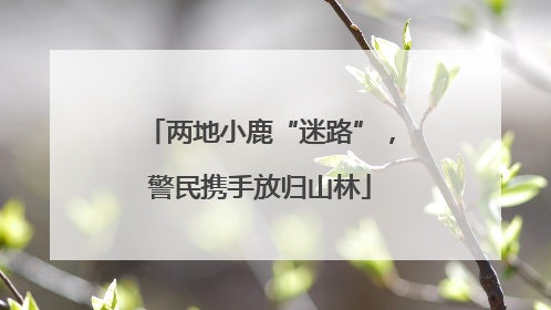 两地小鹿“迷路”，警民携手放归山林