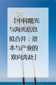 中科曙光与海光信息拟合并：资本与产业的双向奔赴