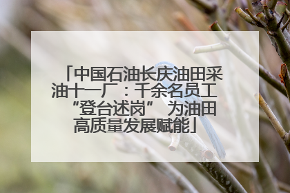 中国石油长庆油田采油十一厂：千余名员工“登台述岗” 为油田高质量发展赋能