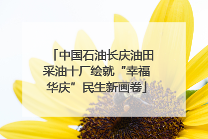 中国石油长庆油田采油十厂绘就“幸福华庆”民生新画卷